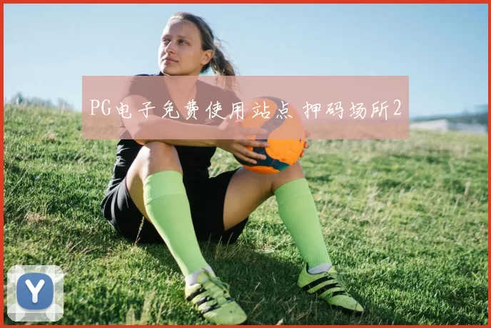 PG电子免费使用站点 押码场所2